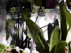 Rubia, Mamada, Polla, Juegos, Sexo duro, Coño, Adolescente, Esposa