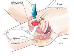Anal, Beauté, Sucer une bite, Plantureuse, Gorge profonde, Béant, Massage, Naturelle
