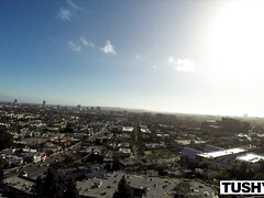 ハードコア, 自然山雀