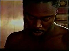 Grosser schwanz, Schwarz, Blasen, Schwarz, Vintage