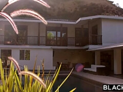 Жопа, Минет, Собачьи, Межрасовый секс, Поцелуи, Белье, Тату, Сиськи