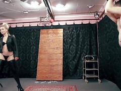 Sadomasoquismo, Belleza, Rubia, Mamada, Tetona, Linda, Dominacion femenina, Coño