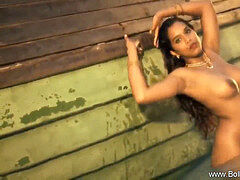 Bollywood lovin’ honey In Nature