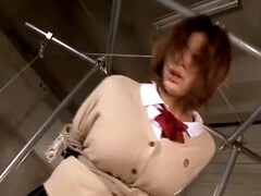 お尻, 緊縛, 巨乳な, 古典, イマラチオ, 日本人, 天然, オーガズム