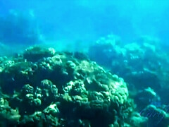 Brittany Shae's Car Time: Amateur, Shaved, & Small Tits