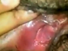 Amateur, Doigter, Béant, Poilue, Mature