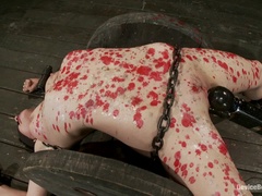 Sadomasochismus, Fesselspiele, Braunhaarige, Füsse, Fingern, Erniedrigung, Zierlich, Bestrafung