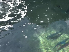 Amateur, Asiatique, Plage, Exhib, Fille latino, Nue, Orgasme, Fumer