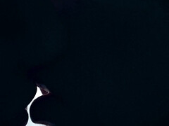 18 ans, Cul, Gode, Extrême, Hd, Lesbienne, Tabou, Jouets