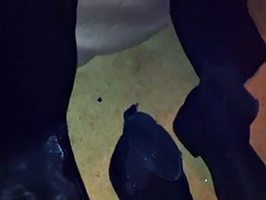 Leie, Niederländisch, Flashen, Gruppe, Öffentlich