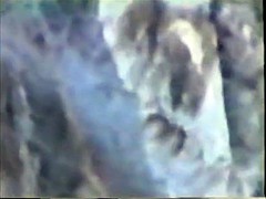 シャワー, スカートのぞき