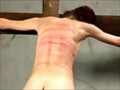 Cul, Bondage domination sadisme masochisme, Beauté, Sucer une bite, Mignonne, Hard, Mamelons, Fessée