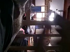 Эксгибиционист