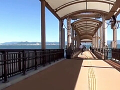 Asian babe flashes pussy