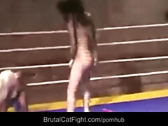 Perra, Negro, Pelea de gatas, Corridas, Fetiche, Hd, Sexo fuerte, Medias largas