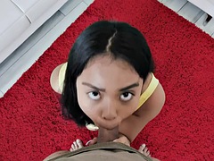 Busty Asian newbie to porn shows how good she is at sucking cock