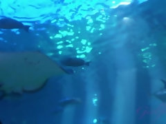 Amateur, Blonde, Petite amie, Orgasme, Pov, Chatte, Nénés, Voyeur