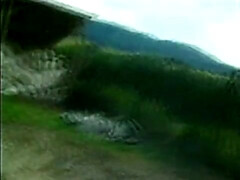 ブロンド, ラティーナ, 淫乱熟女, ヴィンテージ