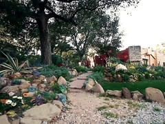 Gorda, Culo grande, Tetas grandes, Mamada, Ébano, Interracial