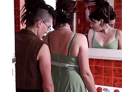 Hairy lezzies fucking in the restroom with intensity