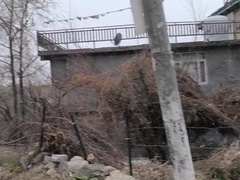 アジア人, ぽっちゃり, カップル, チン, Hd, 巨大, 淫乱熟女, 裸