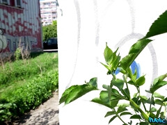 Pijpbeurt, Sperma in gezicht, Hardcore, Interraciaal, Masturbatie, Buiten, Realiteit, Billekoek