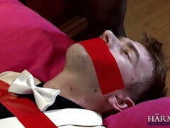 アナル, お尻, デカパイ, 巨乳な, フェムドム, ハードコア, 下着, 淫乱熟女