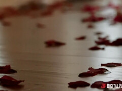 Chambre à dormir, Gros cul, Gros seins, Blonde, Sucer une bite, Couple, Chatte, Rasée