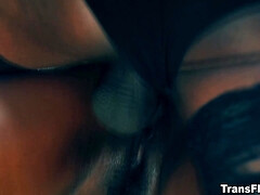 Большие сиськи, Черные, Кончили внутрь, Глубокая глотка, Женщины, Ласковые ручки, В офисе, Чулки