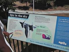 Любители, Черные, Черненькие, Ноги, Подружка, От первого лица, На публике, Соло