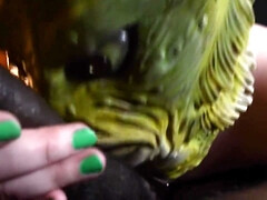 Classisch, Diep in de keel, Hd, Ondergoed, Rijpe lesbienne, Orgasme, Gezichtspunt, Tieten likken