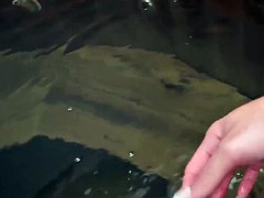 美人, デカパイ, ビキニ, ブロンド, ラティーナ, オナニー, シーメール