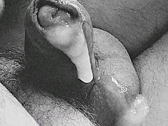 Gay
