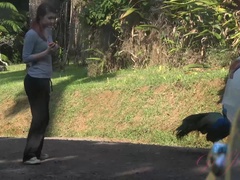 Enthousiasteling, Strand, Vriendin, Handbeurt, Doordringend, Geschoren, Mager, Tieten likken