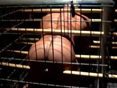 Caged male is about to receive a rough anal punishment