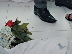 Lieveling, Bruinharig, Sperma shot, Hardcore