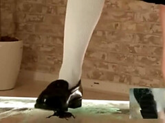 Enthousiasteling, Aziatisch, Fetisj, Japaans