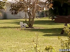 Grosser schwanz, Braunhaarige, Handjob, Hd