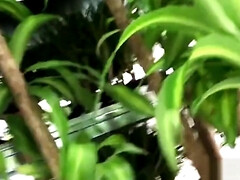 アフリカ人, ぽっちゃり, デカ尻, 古典, チン, Hd, 乳首, オーガズム