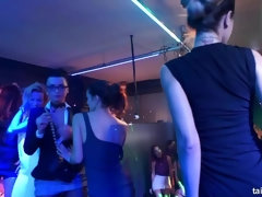 Noire, Brunette brune, Habillées, Embrassement, Léchez, Orgie, Fête, Chatte