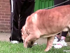 Большой член, Минет, Пальцем, Ласковые ручки, Лизание, Милф, Мамочка, Киски