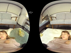 Bruinharig, Hd, Japaans, Gezichtspunt