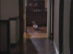 Amateur, Asiatique, Bondage domination sadisme masochisme, Gros seins, Brunette brune, Fétiche, Japonaise