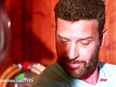 Bruinharig, Hd, Tiener