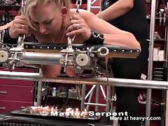 Mooie dikke vrouwen, Bondage discipline sadomasochisme, Grote mammen, Gebondenheid, Tieten likken