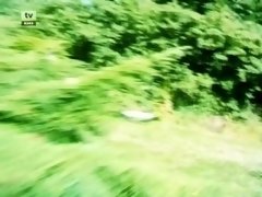 Enthousiasteling, Bruinharig, Europees, Frans