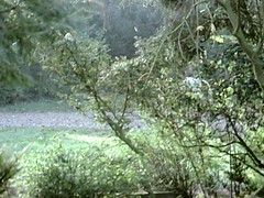 Brigitte Lahaie in the  Greatest Calssic Porn Film