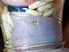 素人, 緊縛, 変態, フェティッシュ, 自家製, 熟年, 公共, 禁句