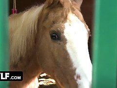 デカパイ, ブロンド, フェラチオ, エロ熟女, 口内発射, アウトドア, 馬乗り, オッパイの