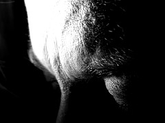 SOLITUDE TRAILER MARIELLE XXX